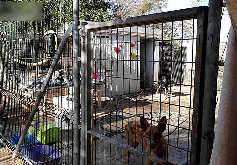 Refugio de Antas que investiga la Guardia Civil