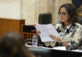 La consejera de Salud y Consumo Catalina García, durante su intervención en la sesión plenaria de este jueves.