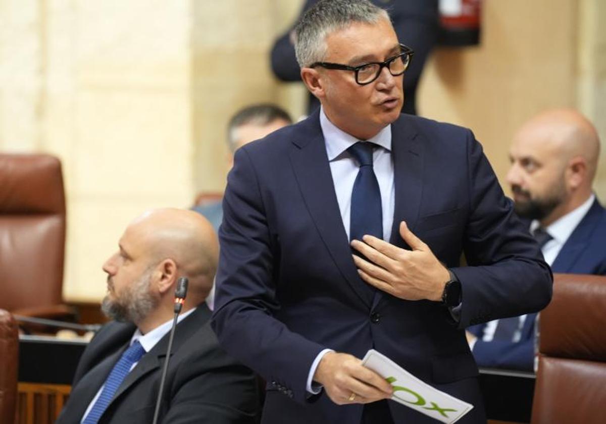 El portavoz del Grupo Parlamentario Vox, Manuel Gavira, durante su intervención en la segunda jornada del Pleno del Parlamento andaluz.