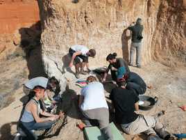 Trabajos de excavación en el yacimiento paleolítico situado a las afueras del municipios de Fonelas.