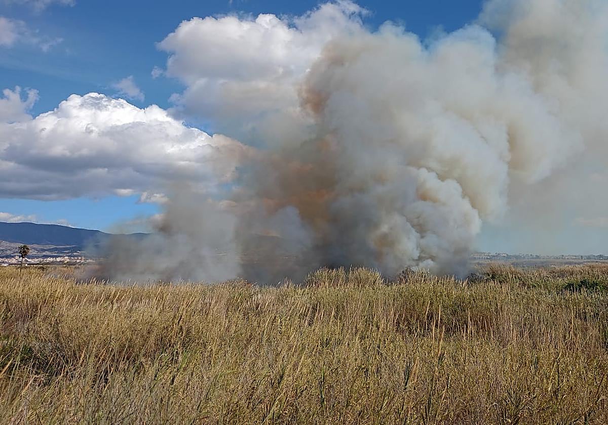 Nuevo incendio en Salobreña, junto al 18 Nudos Surf Club.