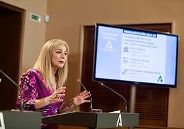 La consejera de Educación, Patricia del Pozo, presentando el plan de escolarización.