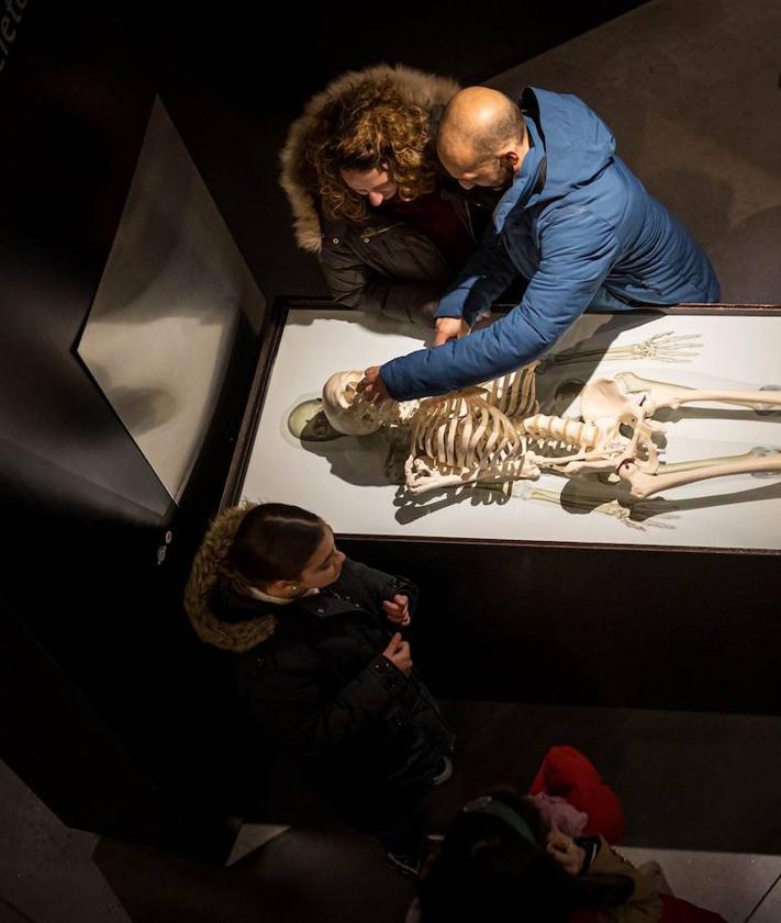 Imagen secundaria 2 - El público visitó los pabellones y disfrutó con las exposiciones y los talleres.