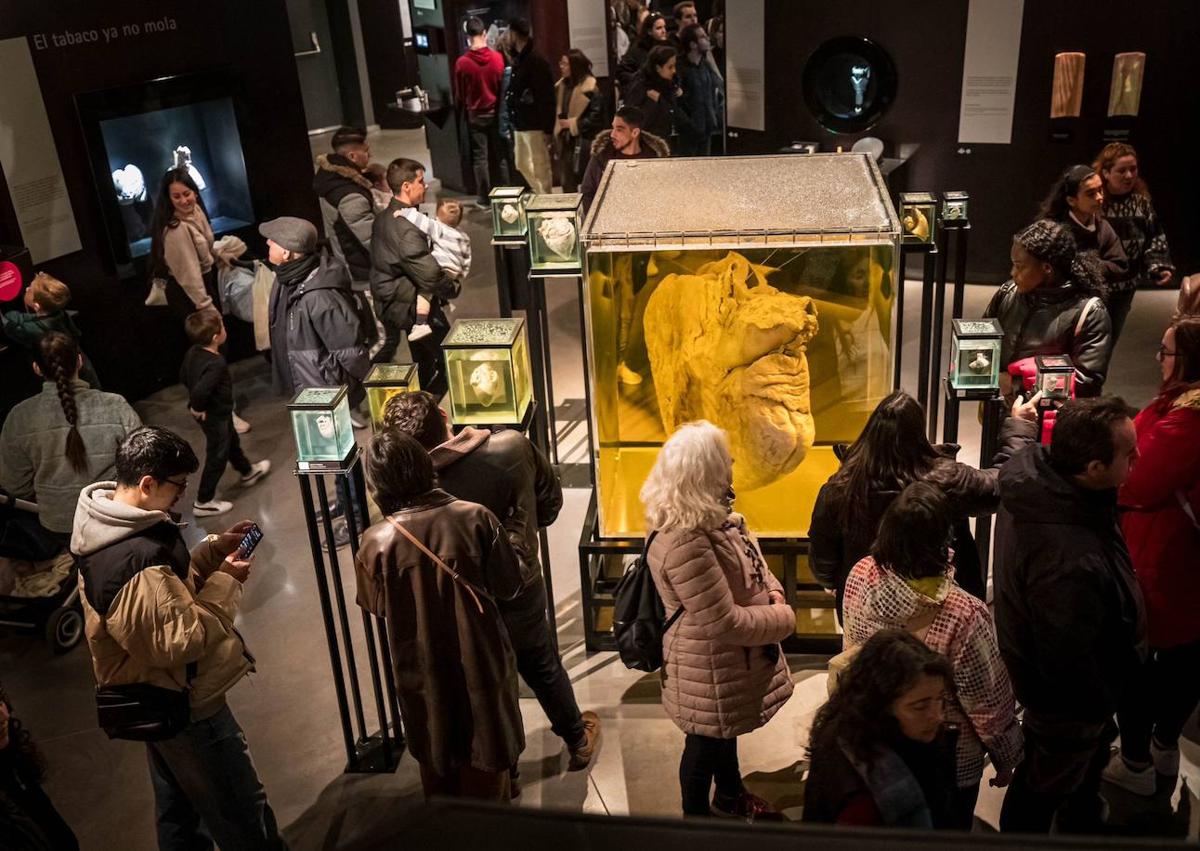 Imagen secundaria 1 - El público visitó los pabellones y disfrutó con las exposiciones y los talleres.