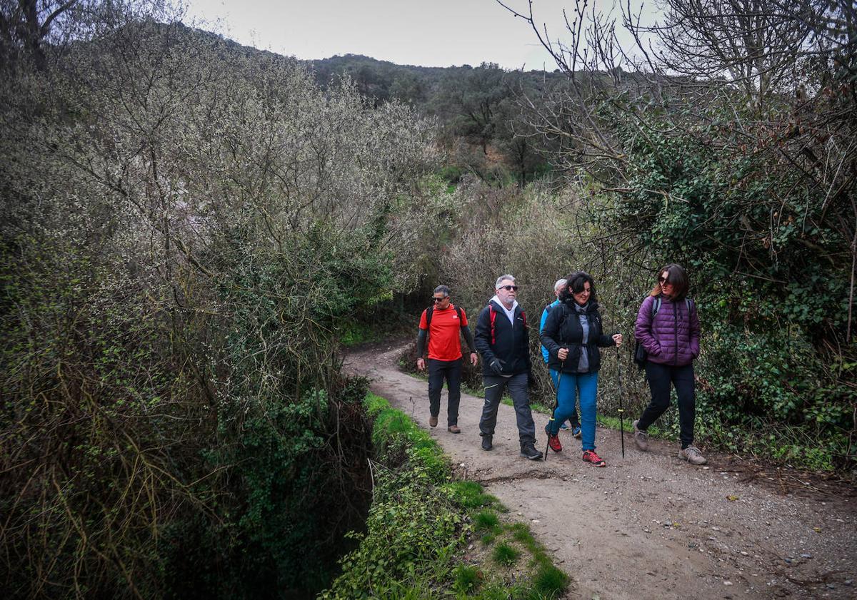 Imagen principal - Un recorrido por el Valle del Darro es una experiencia llena de historia y emociones.