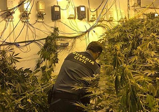 Operación antidroga de la Guardia Civil en Granada.