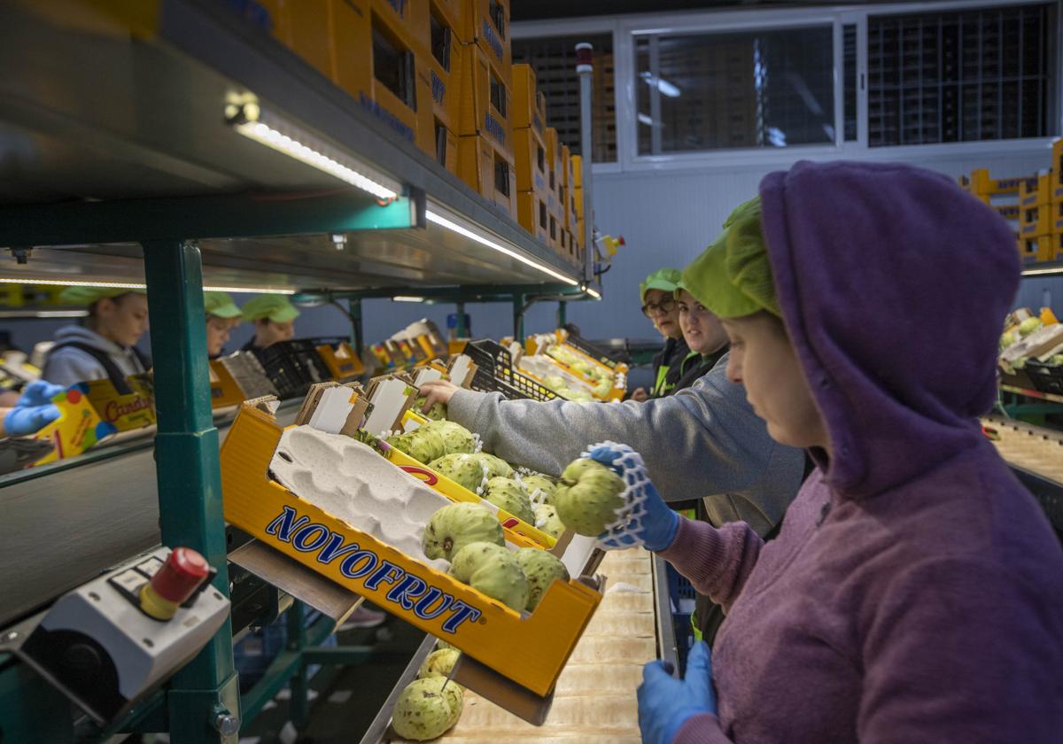 Trabajadoras en la nave de Novofrut de la Costa