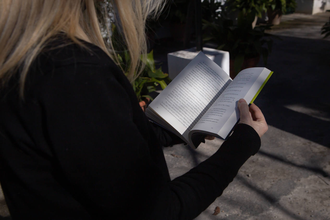 Hojeando el libro.