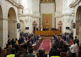 El Parlamento respalda la candidatura para acoger la Agencia de Salud Pública