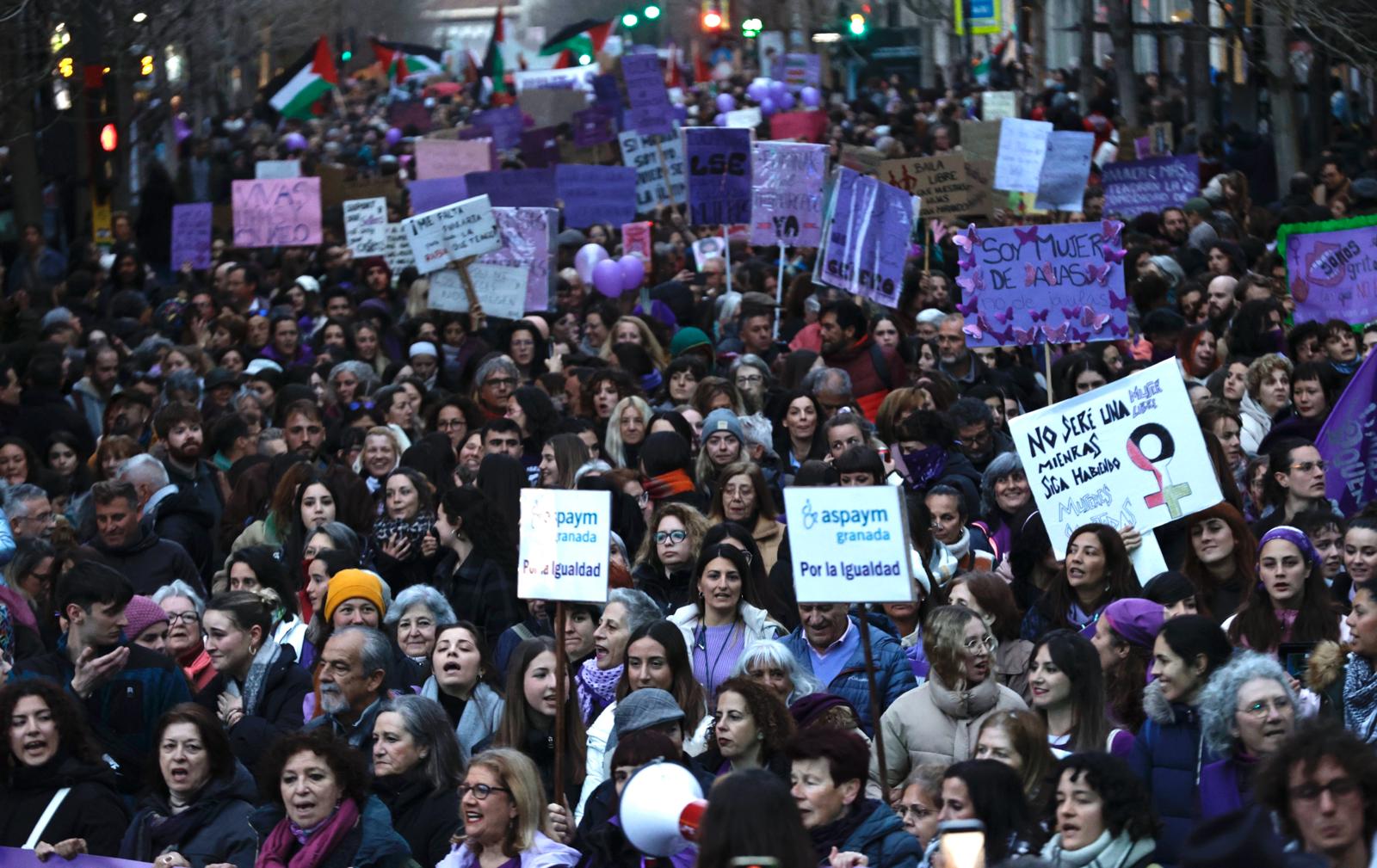 Las imágenes de la marea morada del 8M en Granada