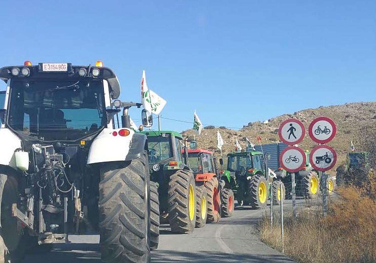 Tractores avanzan por la carretera para participar en una protesta del sector primario.