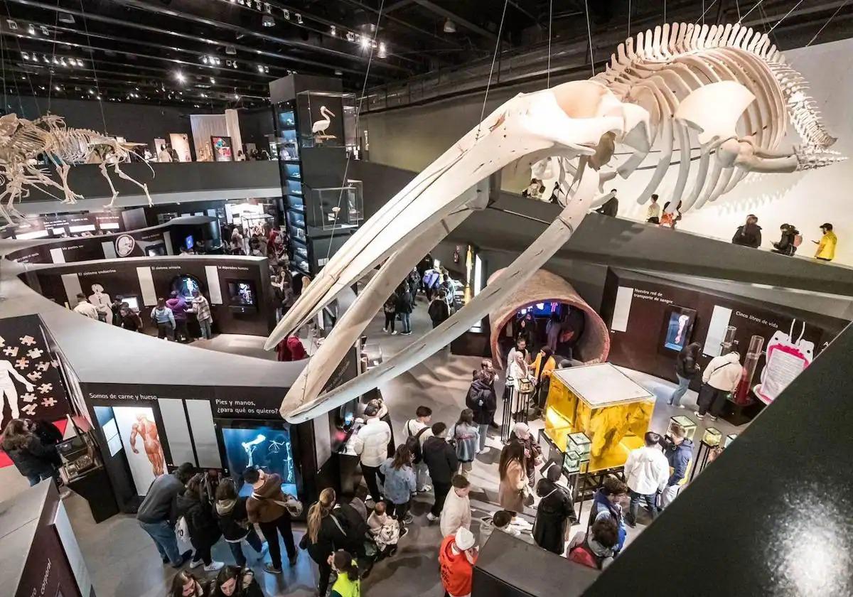 Visitantes del Parque de las Ciencias el pasado 28 de febrero.