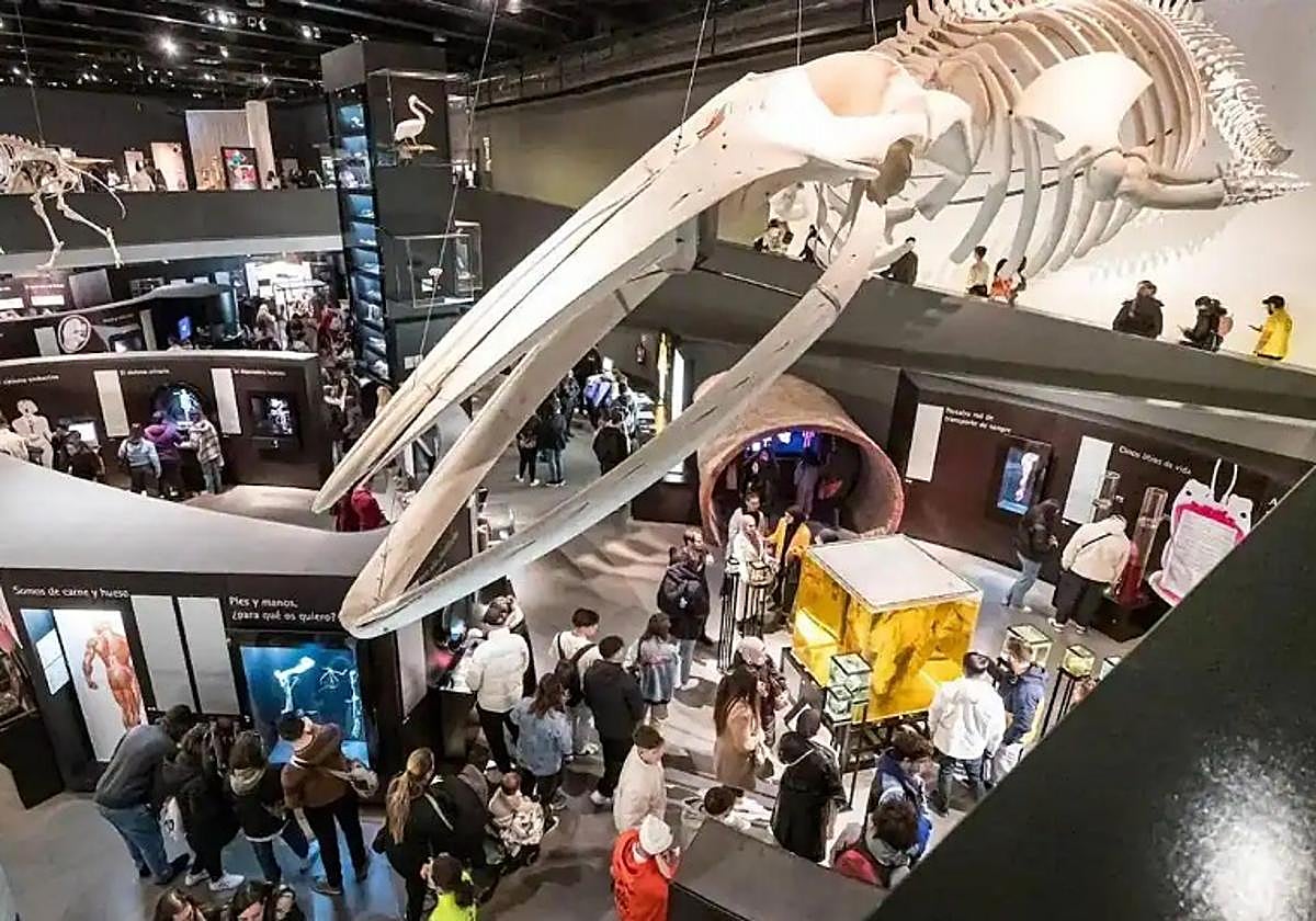 Visitantes del Parque de las Ciencias el pasado 28 de febrero.