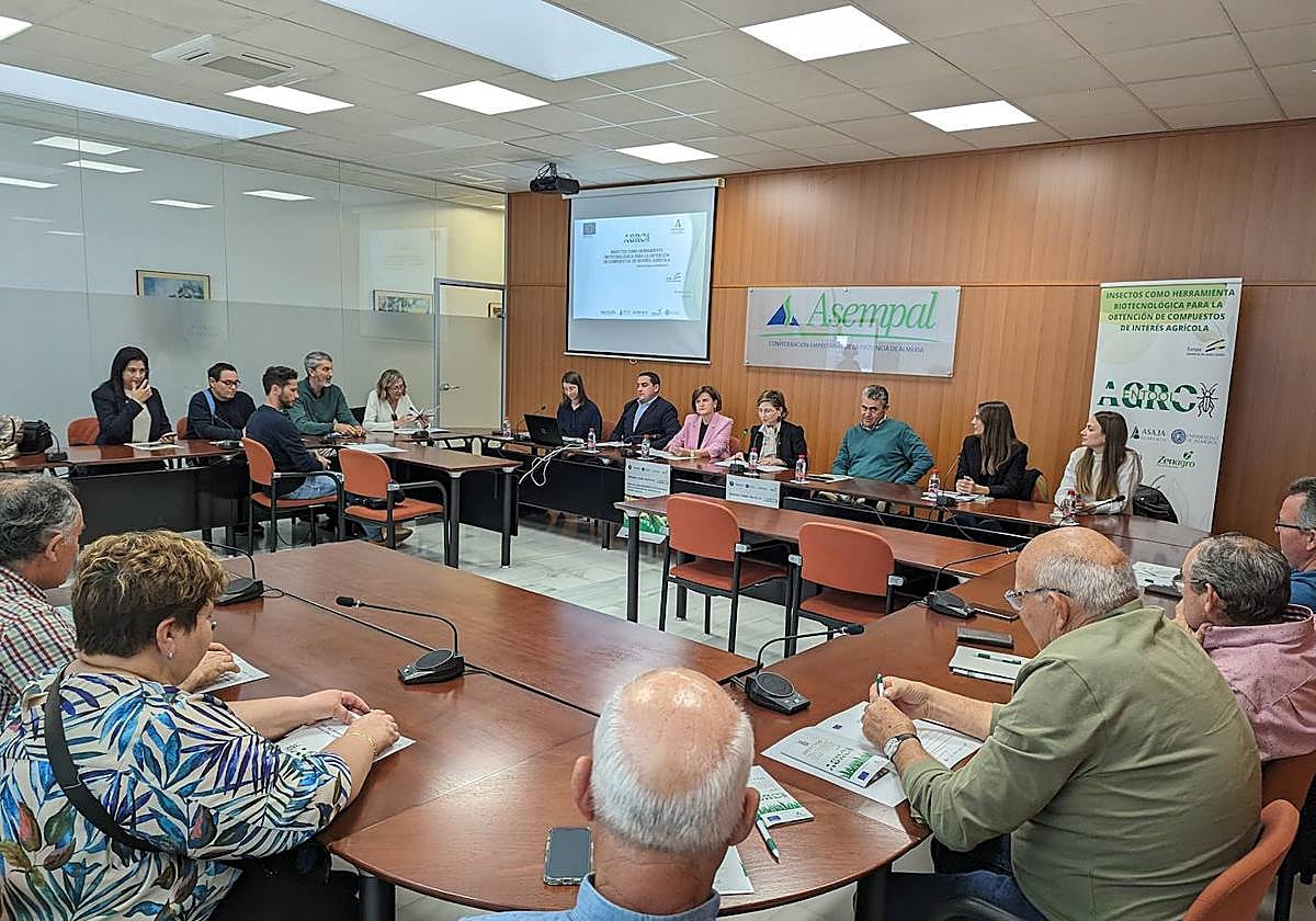 Los grillos se convierten en una solución para el campo