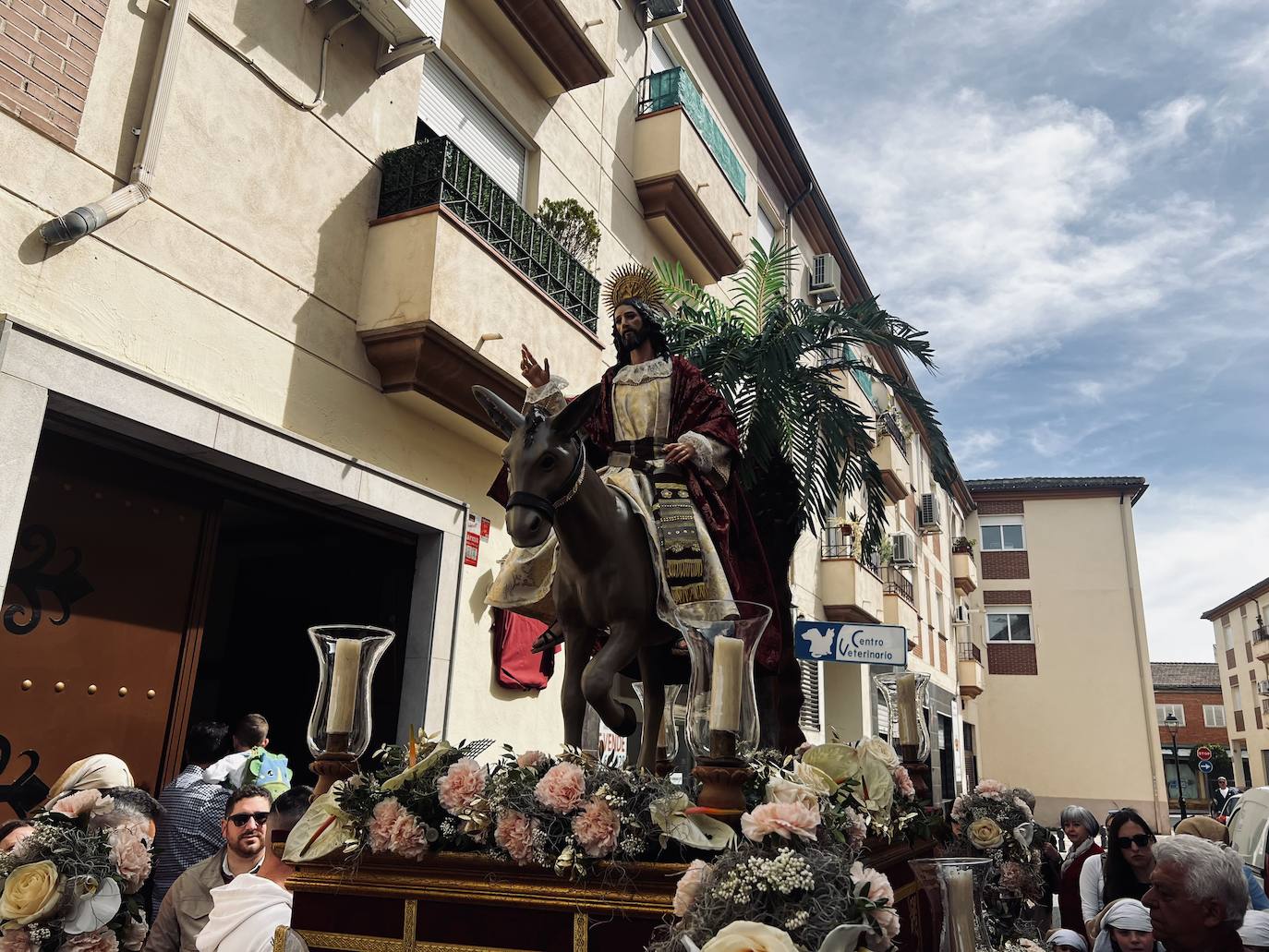 El ensayo y la bendición de la Borriquilla de Churriana de la Vega, en imágenes