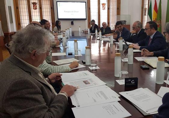 La comisión institucional de la candidatura de los Paisajes del Olivar se ha reunido este viernes.
