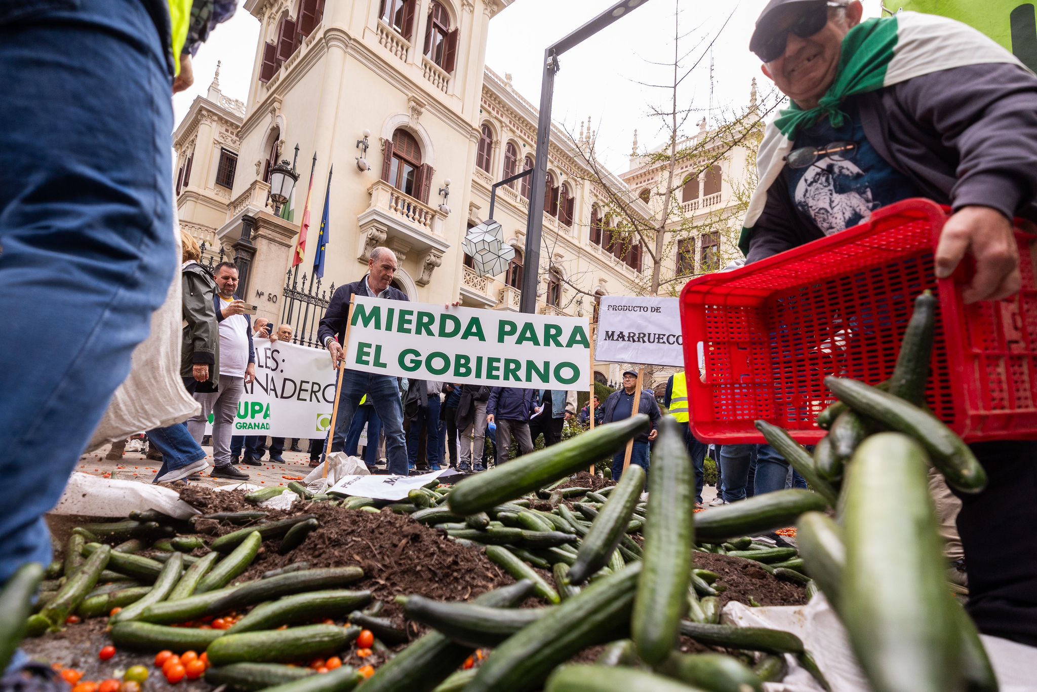 La tractorada de Granada, en imágenes