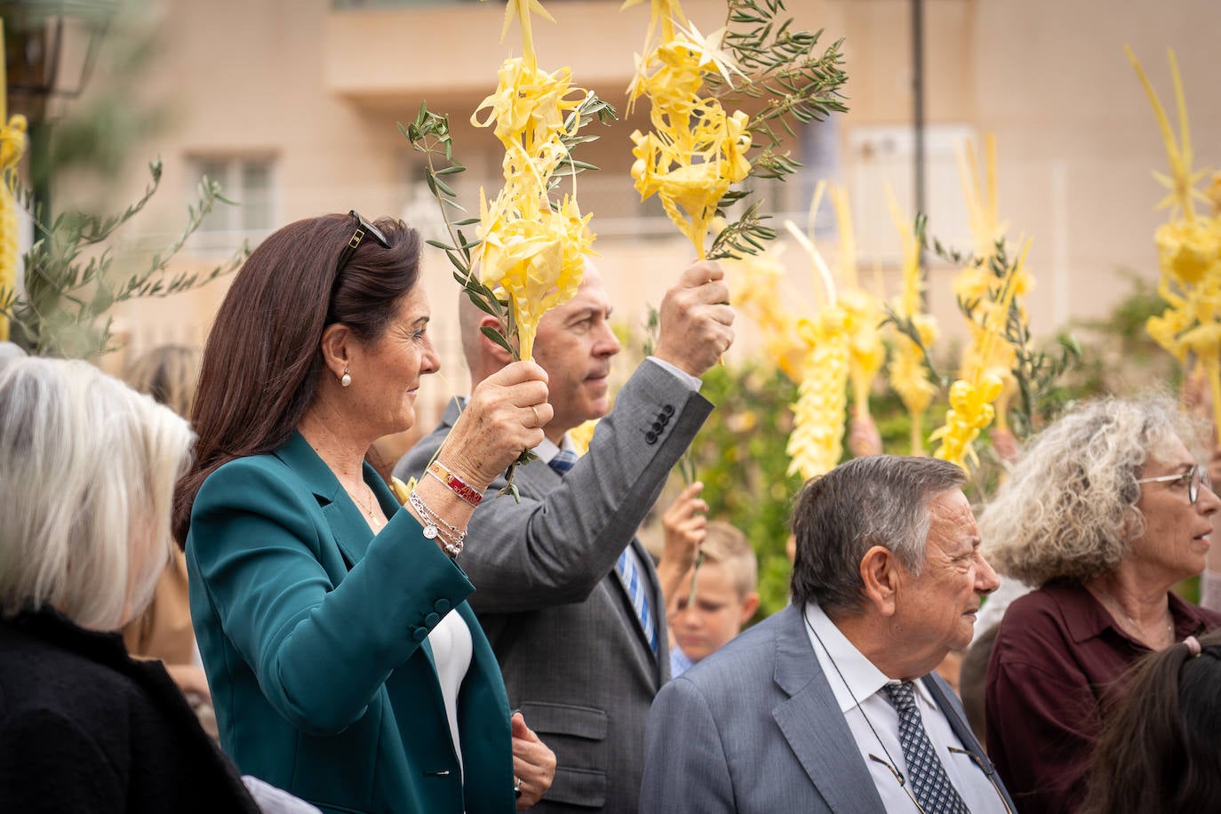 Palmas y olivos, como protagonistas.
