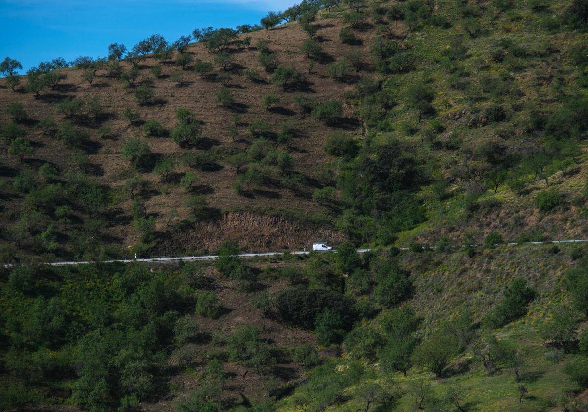 Las imágenes de la carretera de Sorvilán ya operativa