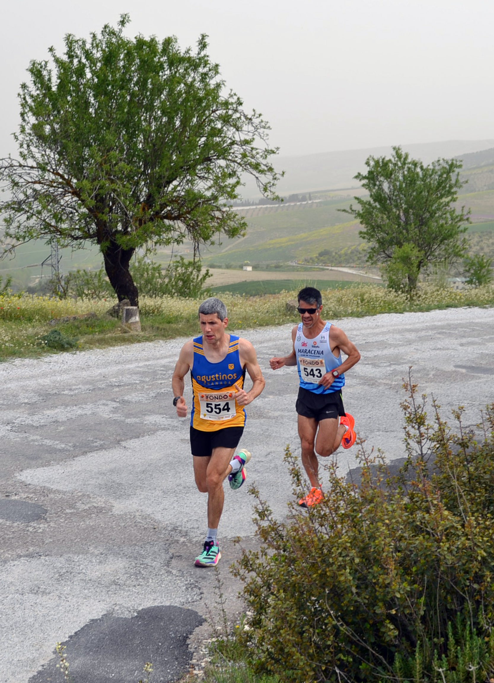 Encuéntrate en la carrera de Alhama