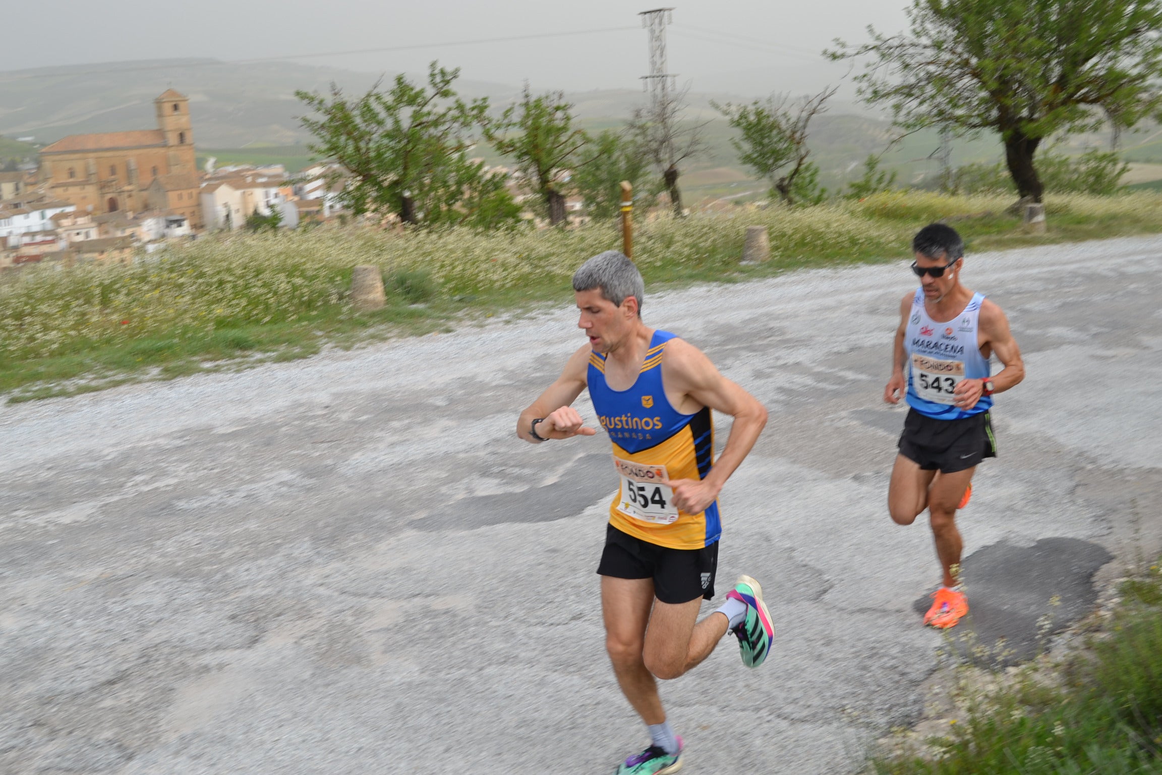 Encuéntrate en la carrera de Alhama