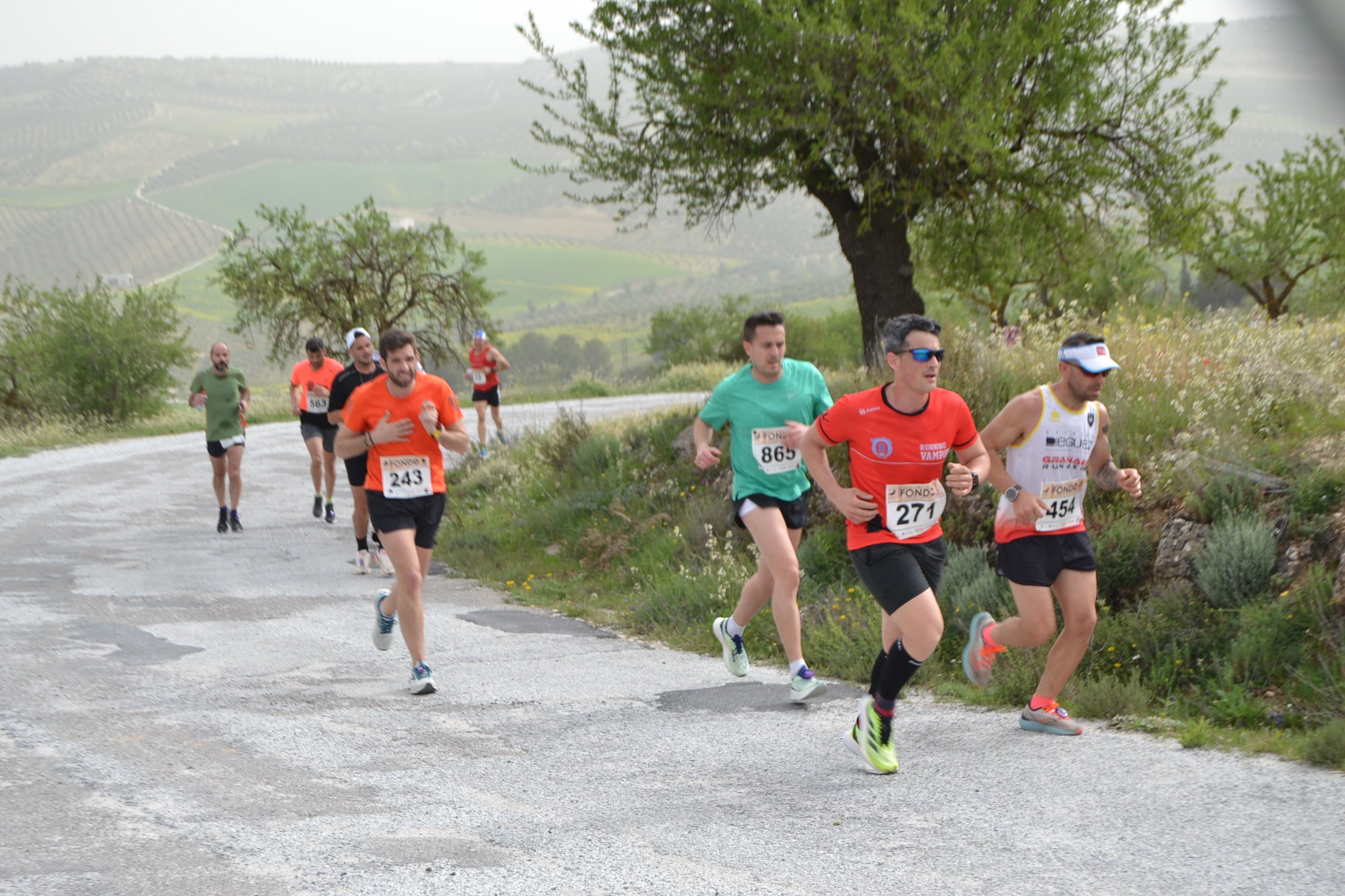 Encuéntrate en la carrera de Alhama