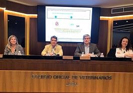 Jornada formativa sobre el control de la colonias felinas.