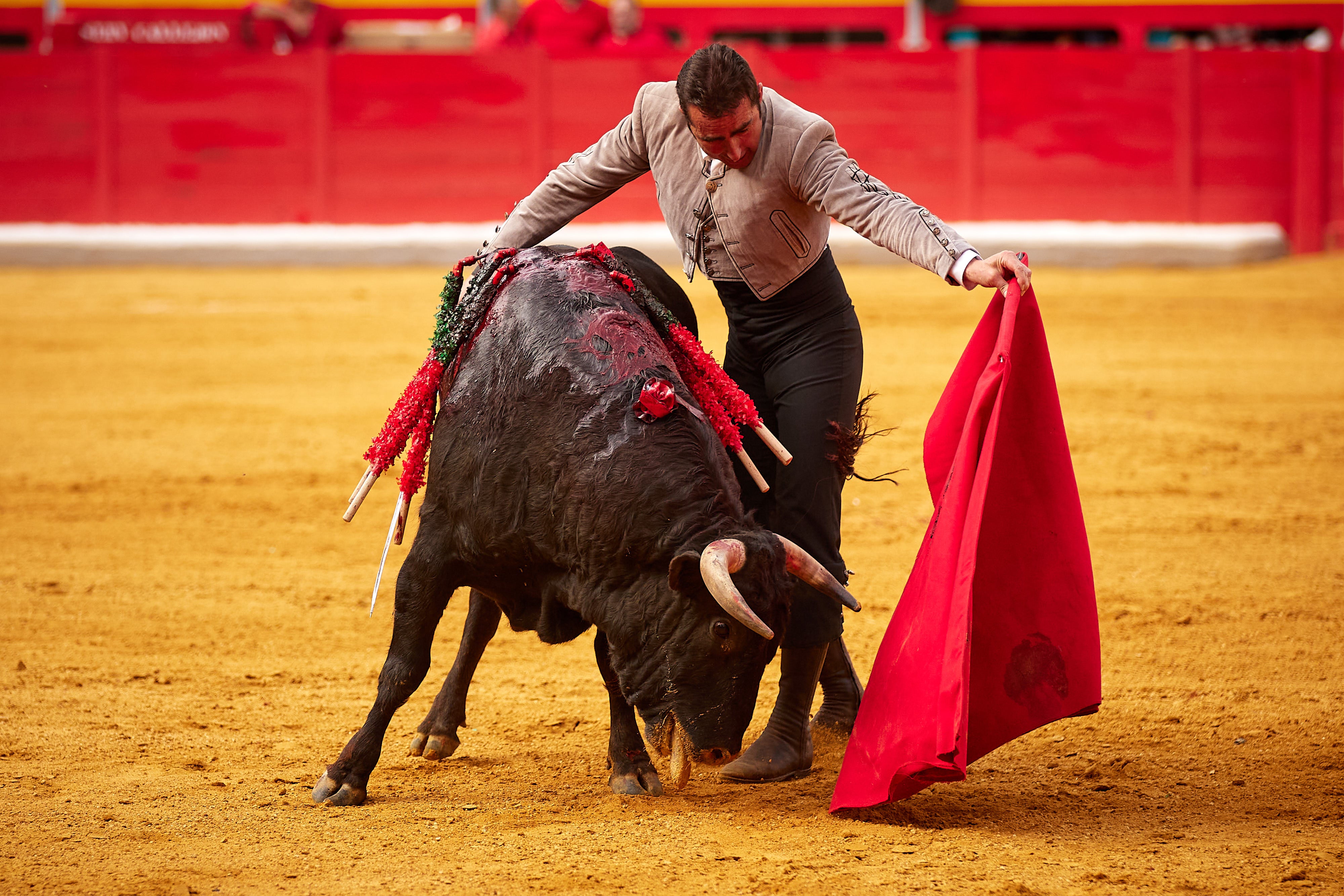 Las mejores imágenes del festival taurino de Granadown