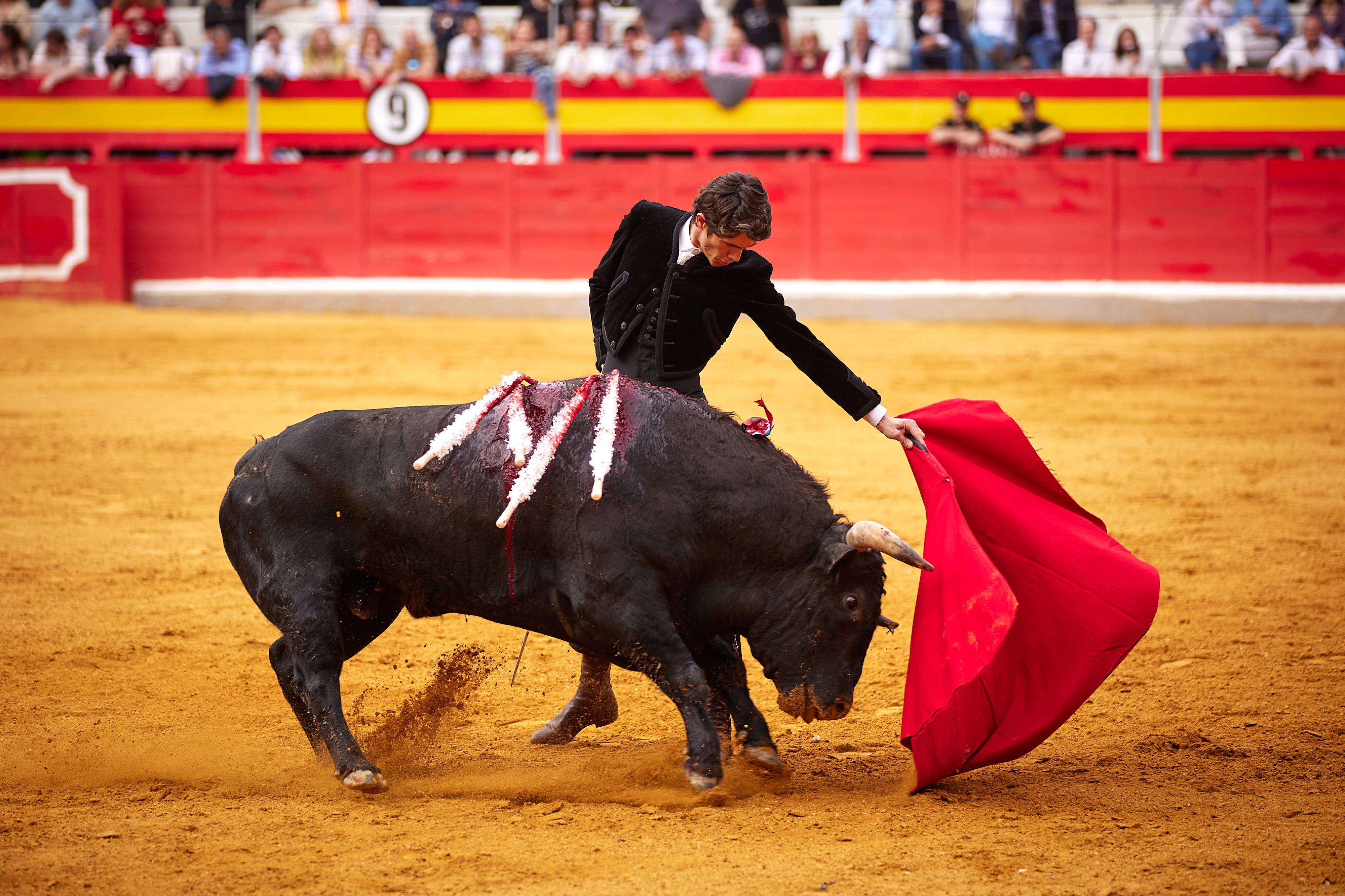 Las mejores imágenes del festival taurino de Granadown