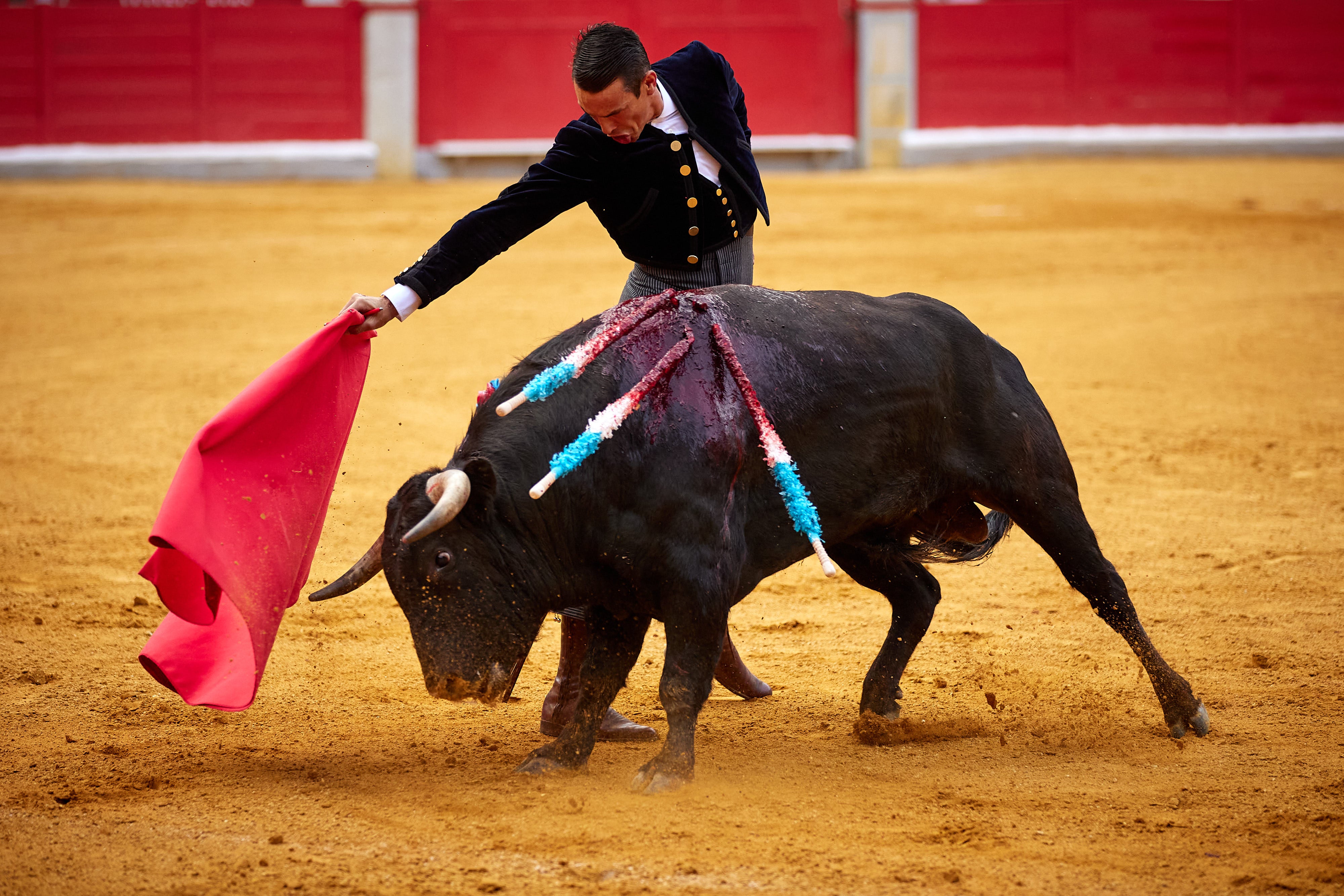 Las mejores imágenes del festival taurino de Granadown