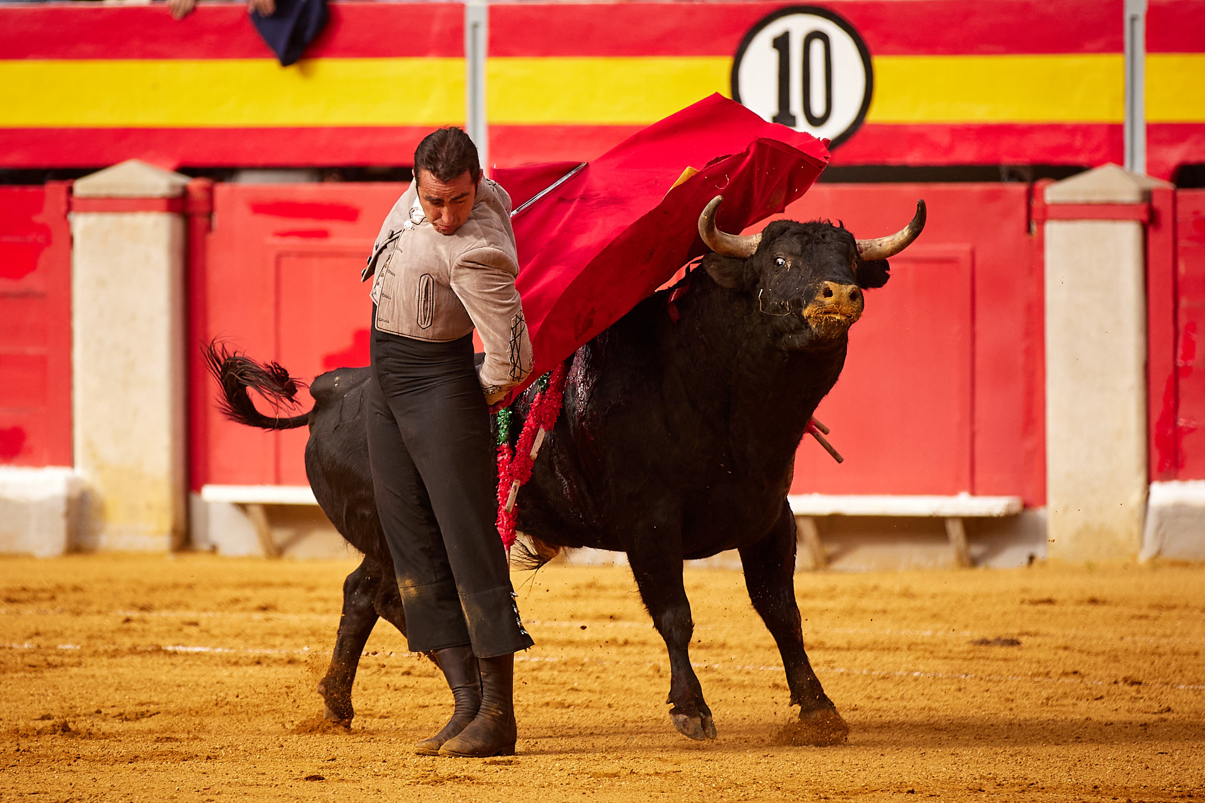 Las mejores imágenes del festival taurino de Granadown