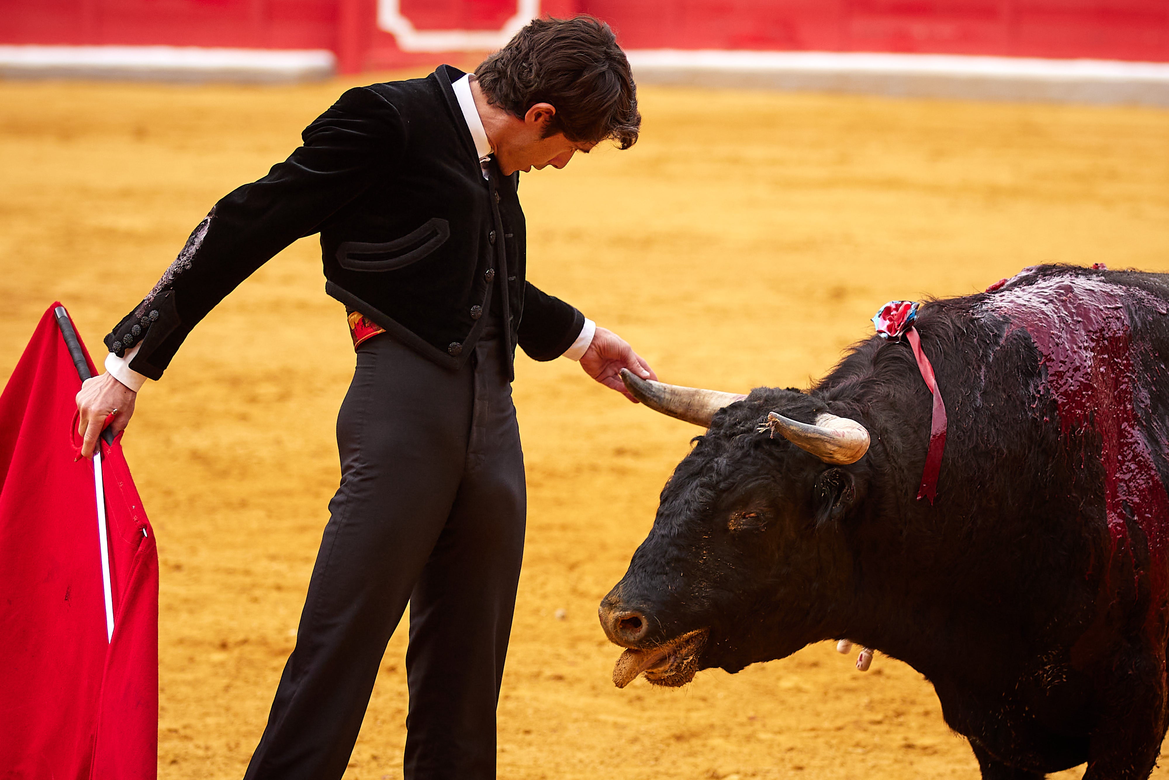 Las mejores imágenes del festival taurino de Granadown