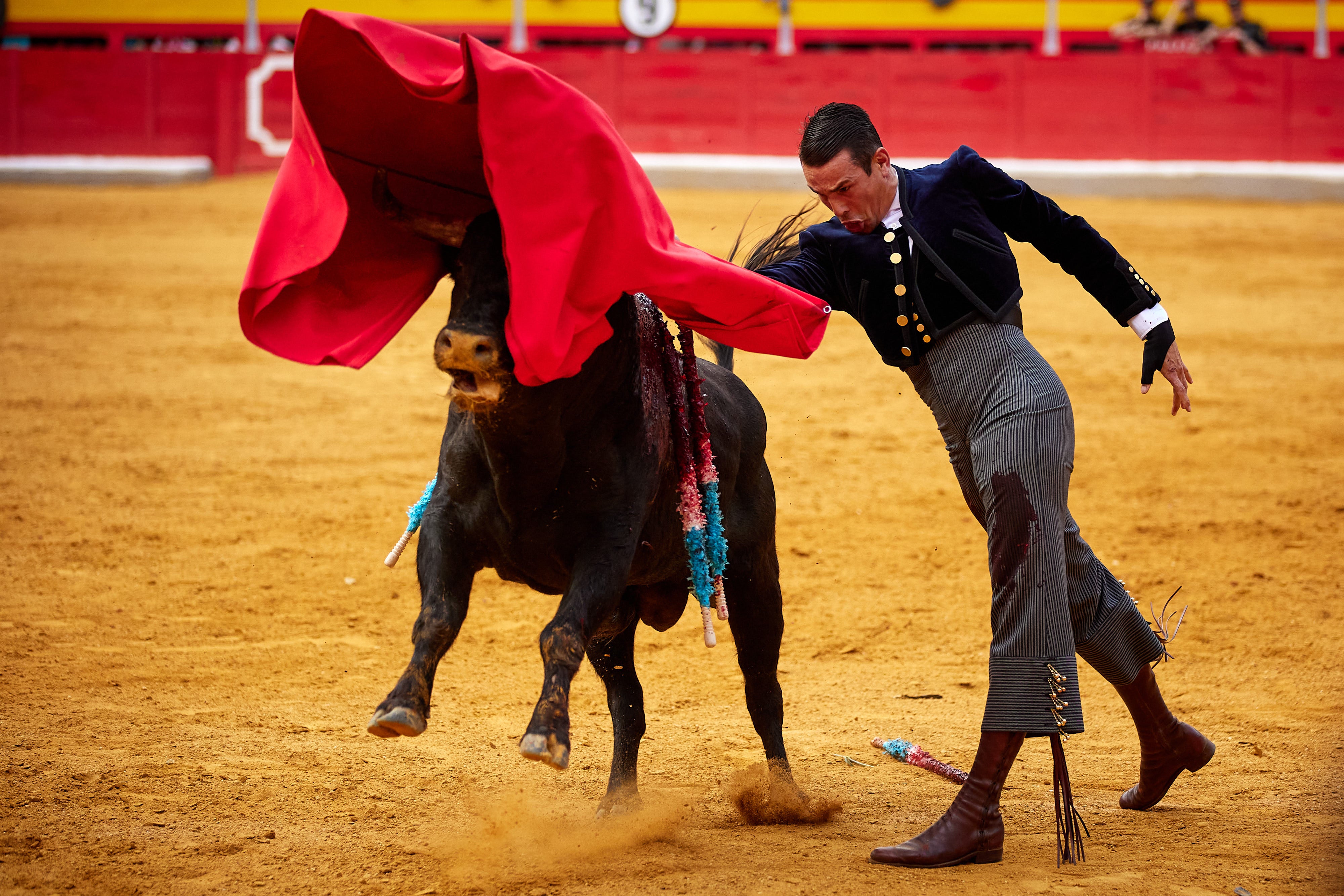 Las mejores imágenes del festival taurino de Granadown