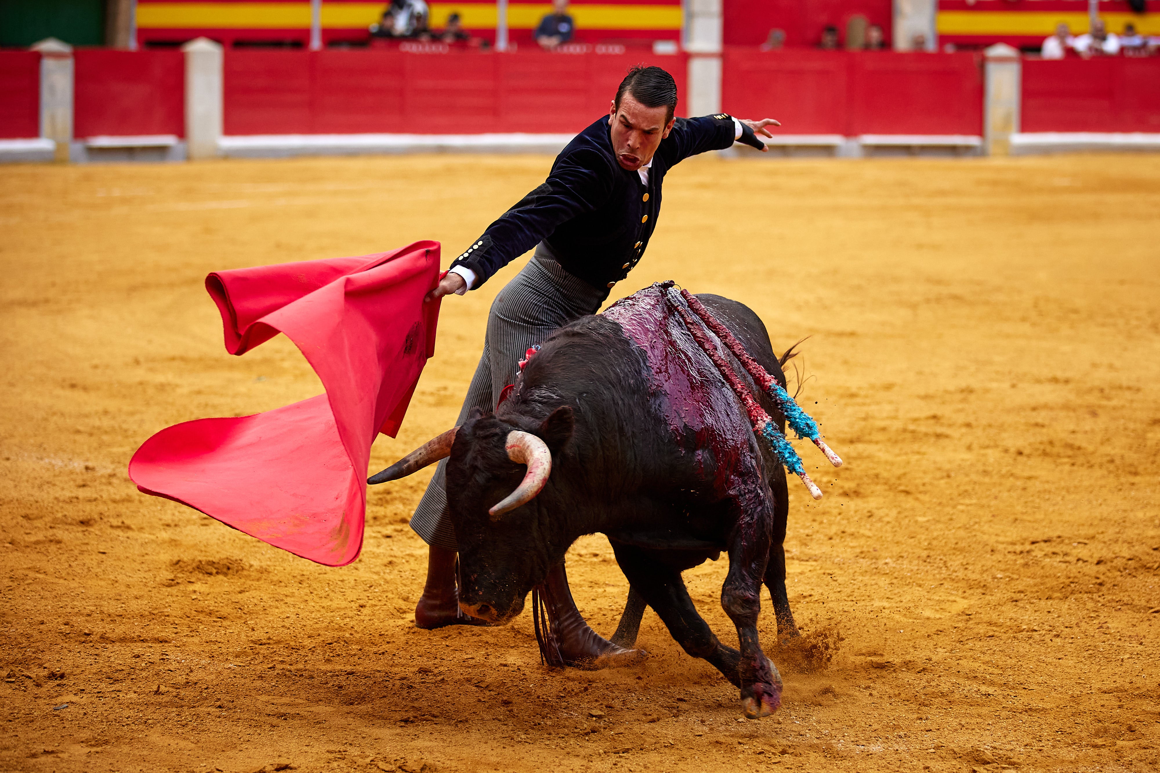 Las mejores imágenes del festival taurino de Granadown