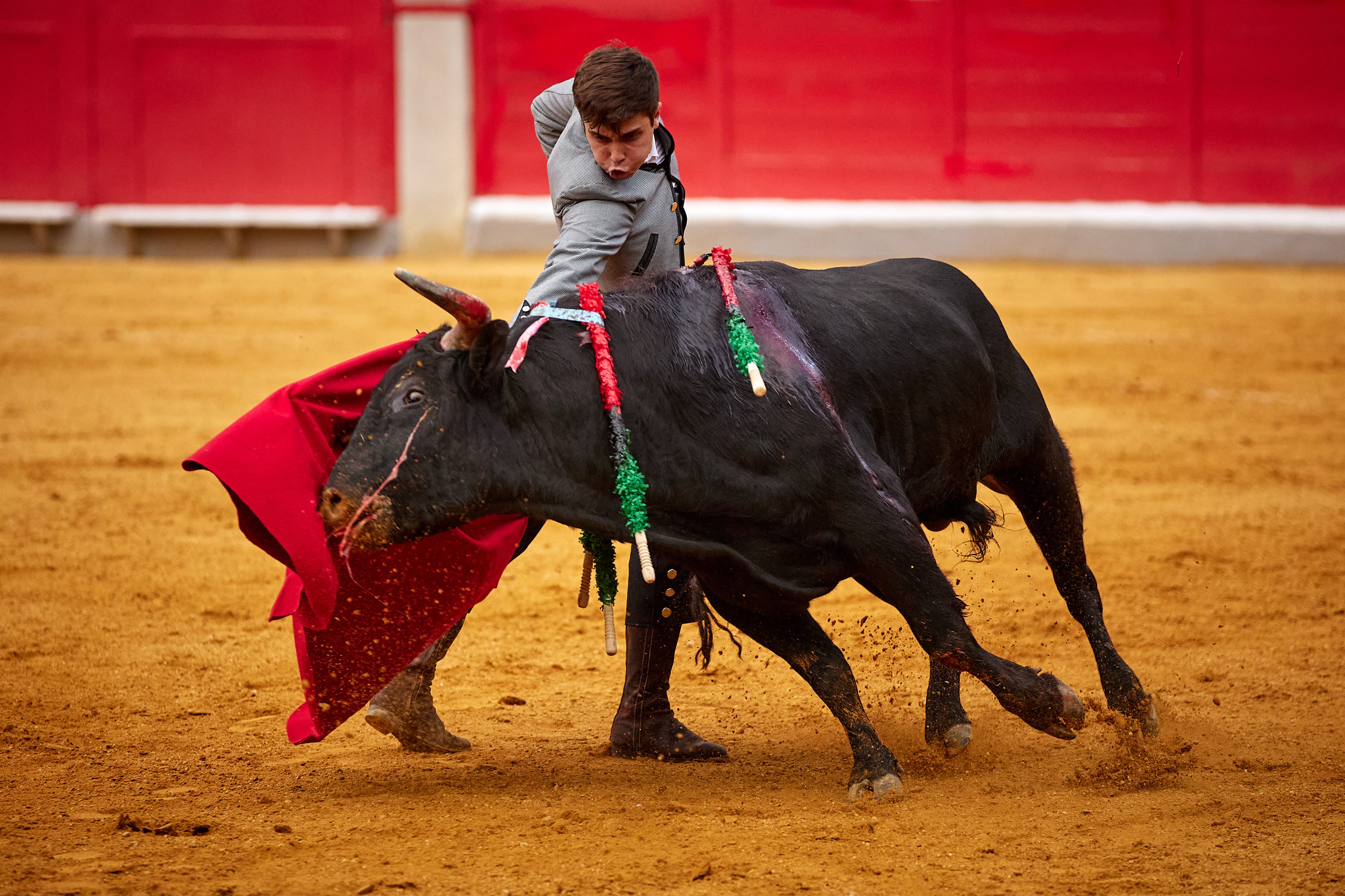 Las mejores imágenes del festival taurino de Granadown