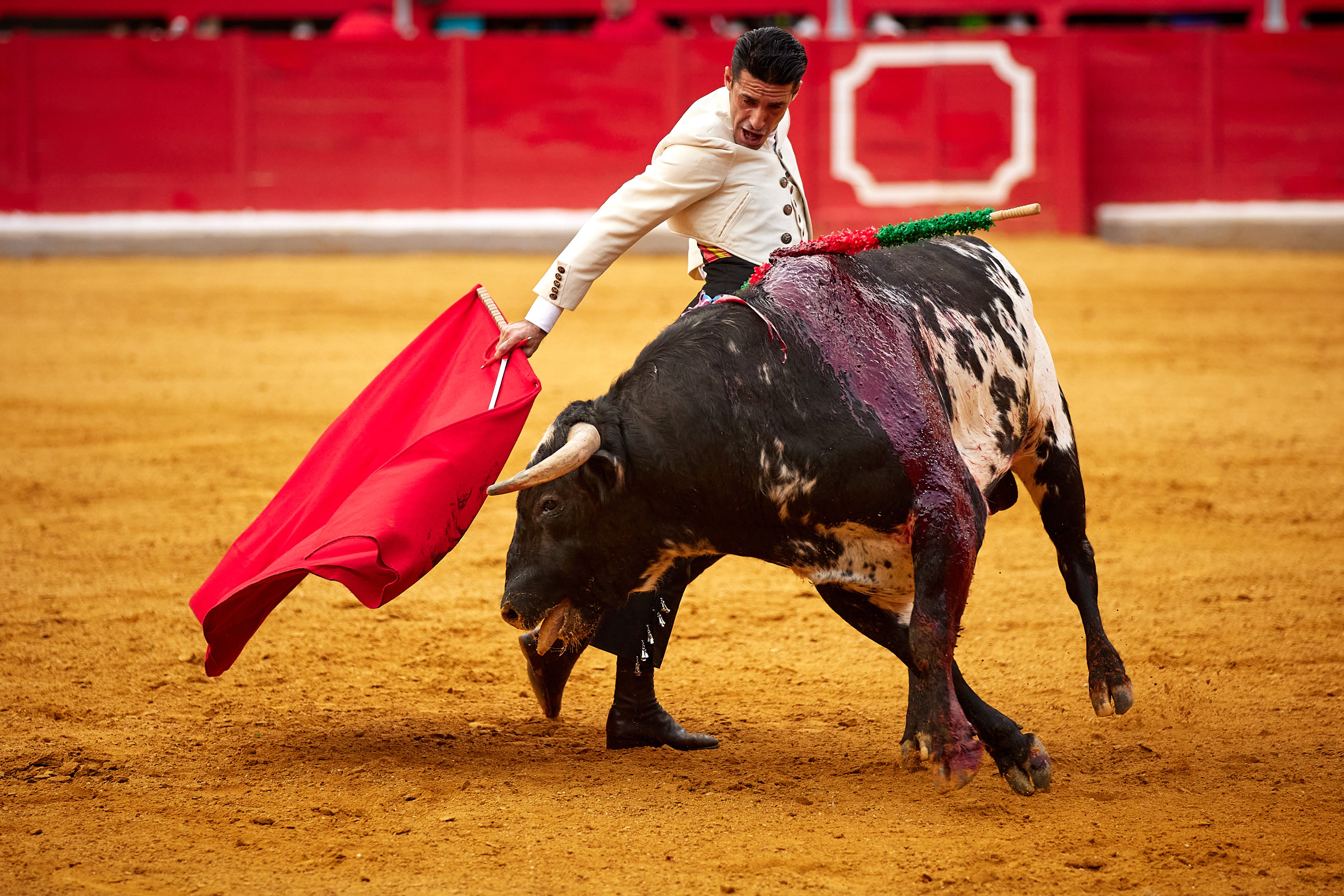 Las mejores imágenes del festival taurino de Granadown