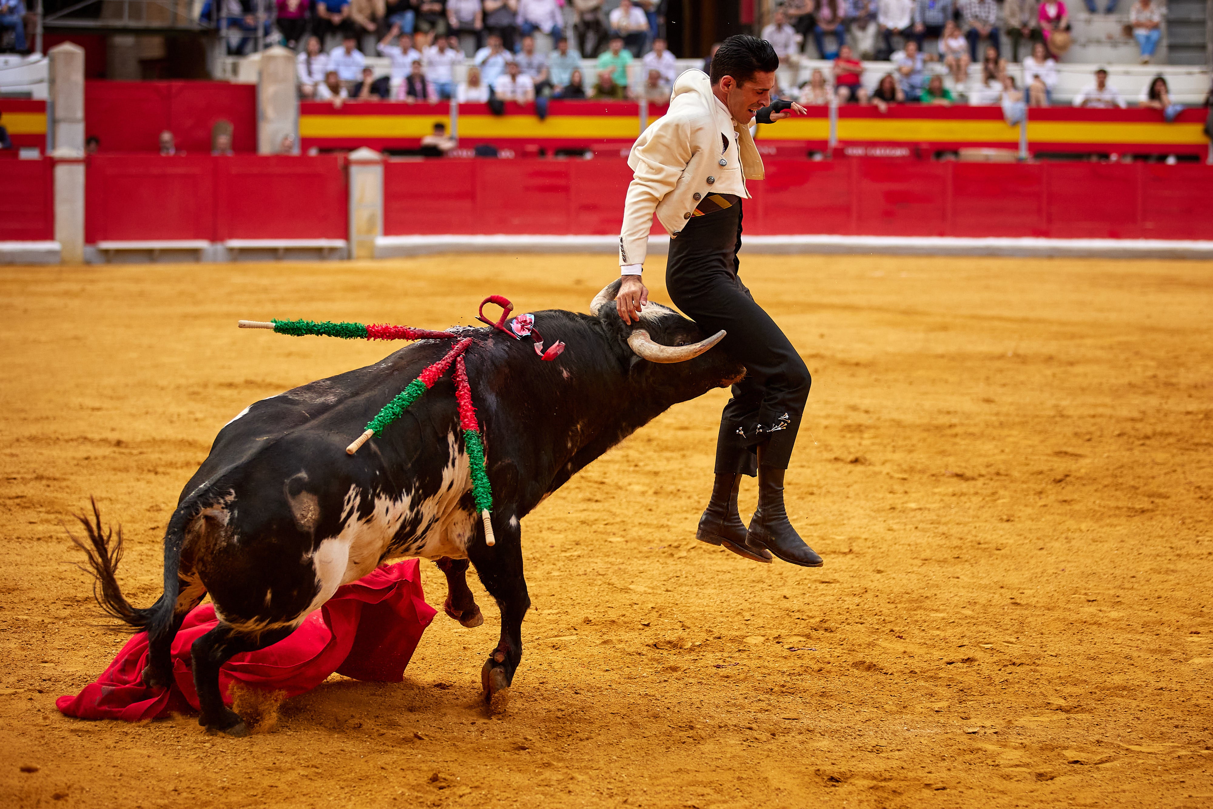 Las mejores imágenes del festival taurino de Granadown