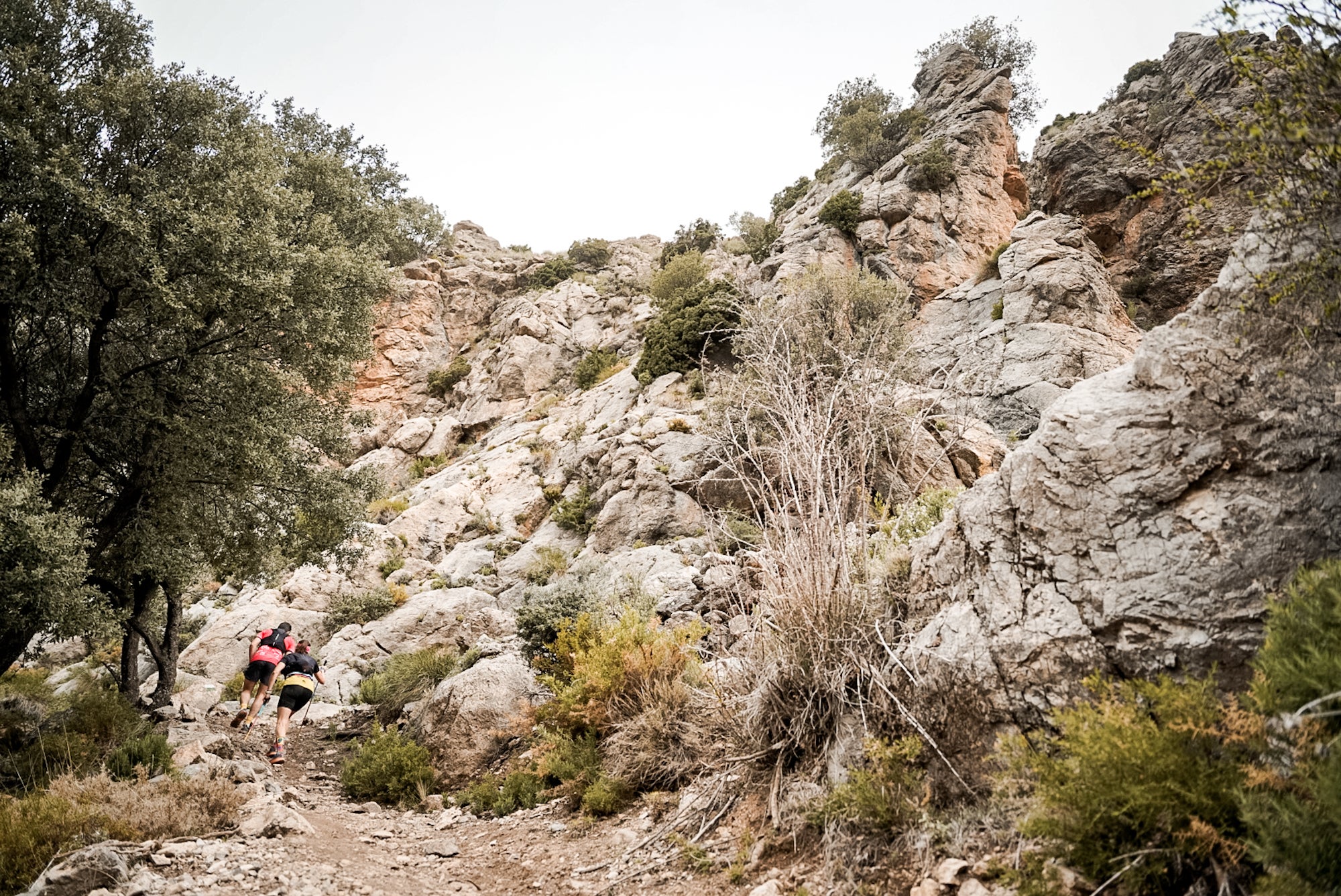 Las mejores imágenes de la Ultra de Sierra Nevada