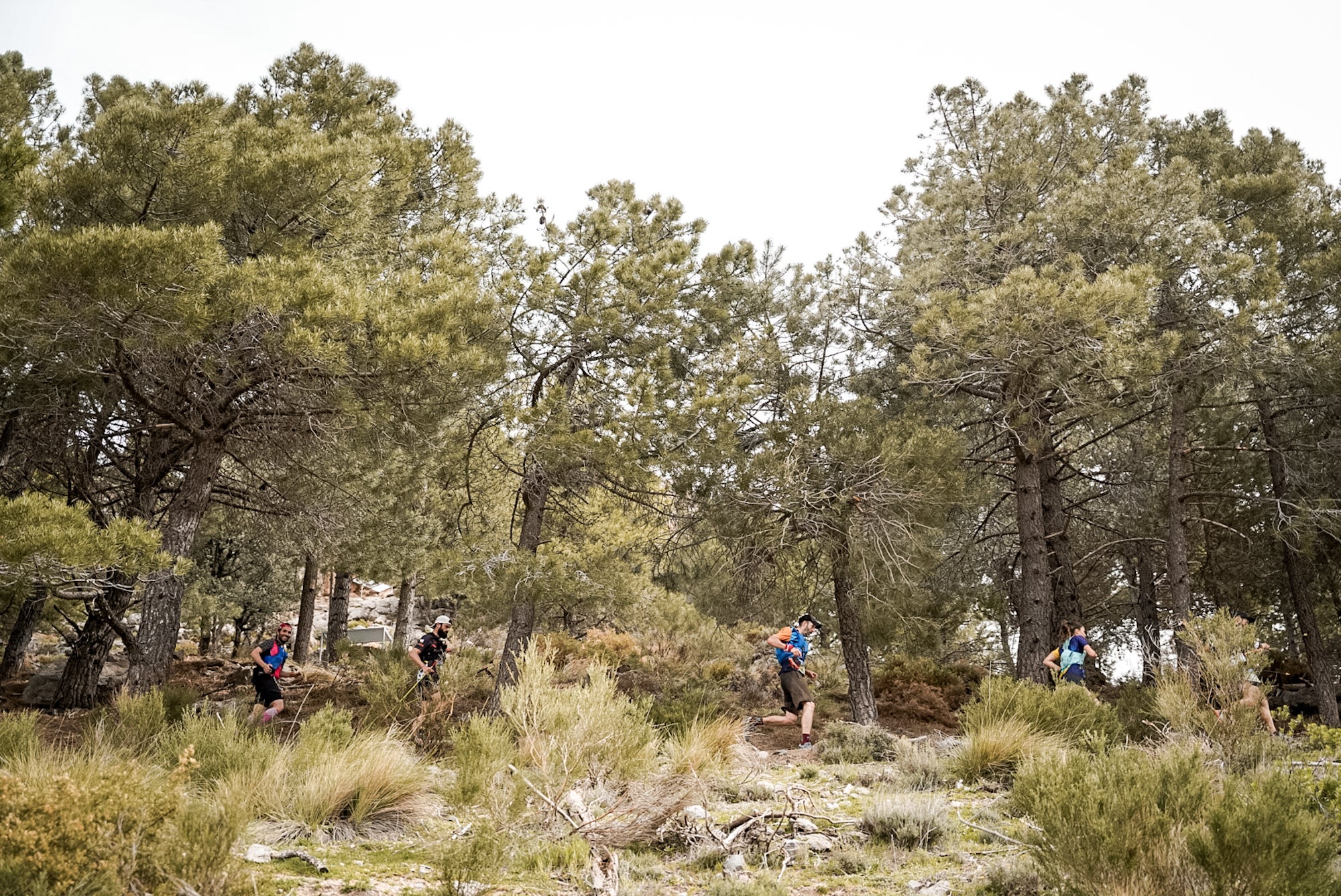 Las mejores imágenes de la Ultra de Sierra Nevada