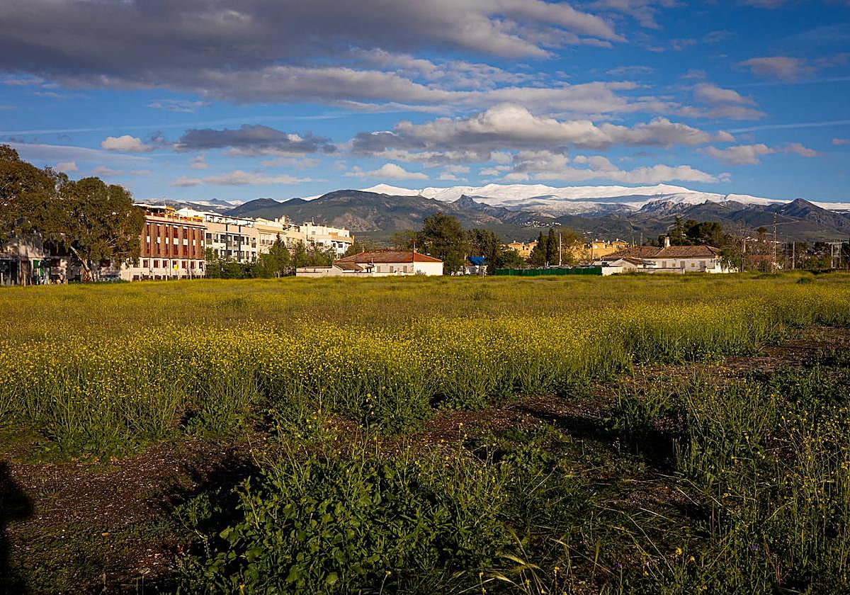 Terrenos de la Base Aérea de Armilla donde está proyectado un nuevo centro de inmigrantes.