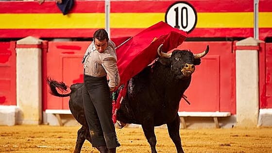 Grandes maestros de la vida y del ruedo para Granadown