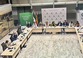 Mesa de Interlocución.