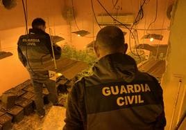 Operación de la Guardia Civil contra el tráfico de droga.