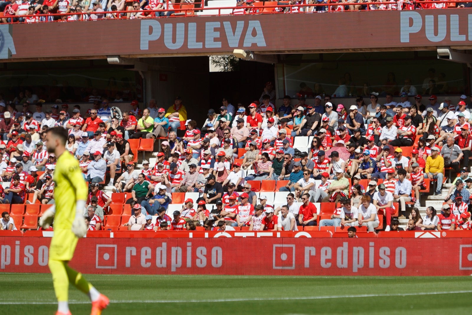 Encuéntrate en la grada en el partido entre Granada y Alavés