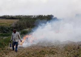 La Junta prorroga un mes las más de 5.200 autorizaciones para uso de fuego agrícola ante las últimas lluvias