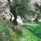 Paraje del Barranco de La Bolera, en Pozo Alcón.