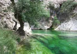 Paraje del Barranco de La Bolera, en Pozo Alcón.