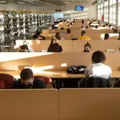 La Universidad de Granada busca personal para trabajar en sus bibliotecas