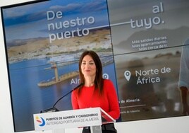 El Puerto se dotará de una estación marítima sólo para los pasajeros de cruceros