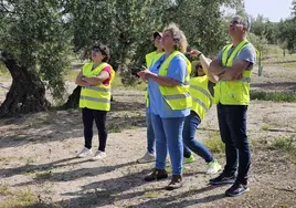 Agricultoras pilotan drones, durante su examen en Torredelcampo.